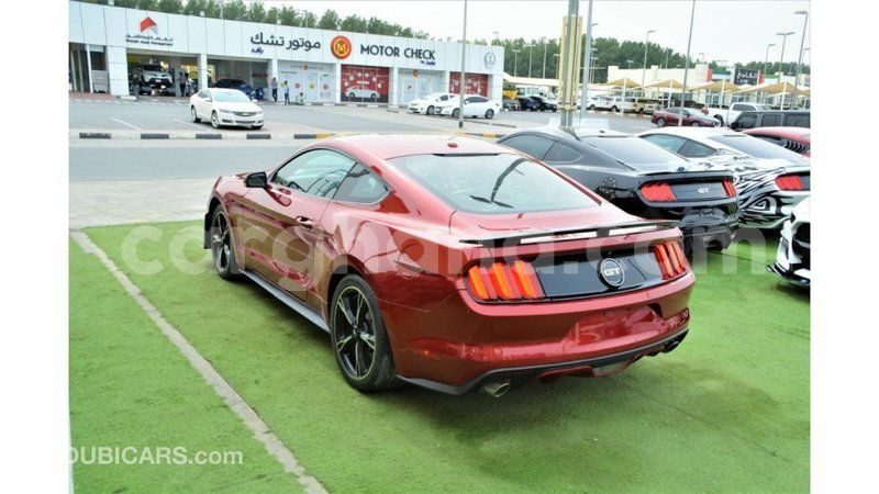 Big with watermark ford mustang ashanti import dubai 54471