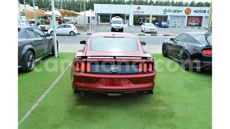 Big with watermark ford mustang ashanti import dubai 54471