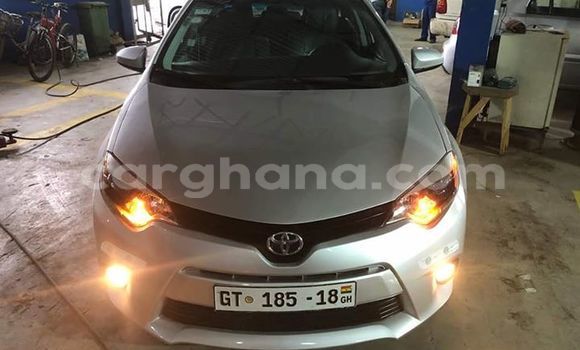 Medium with watermark 37587413 187402732130332 1131219614680743936 n