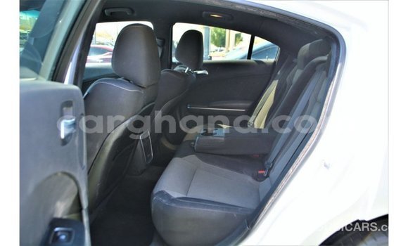 Sayi Imported Dodge Charger White Mota in Import - Dubai a Ashanti Sayi Imported Dodge Charger White Mota in Import - Dubai a Ashanti