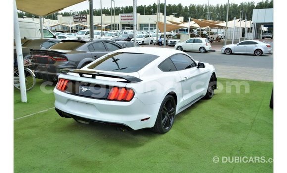 Buy Import Ford Mustang White Car in Import - Dubai in Ashanti Buy Import Ford Mustang White Car in Import - Dubai in Ashanti