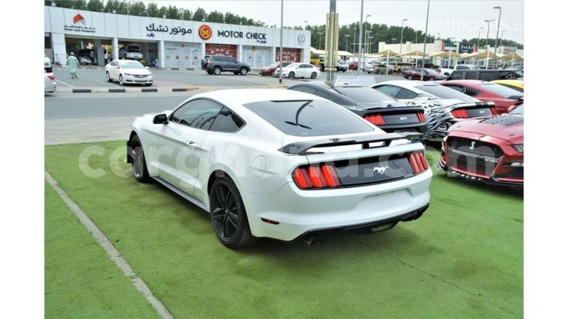 Big with watermark ford mustang ashanti import dubai 54481