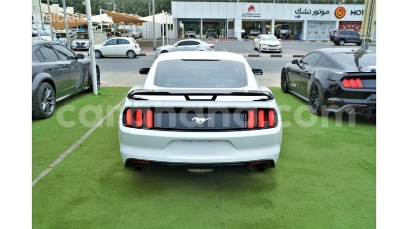 Big with watermark ford mustang ashanti import dubai 54481