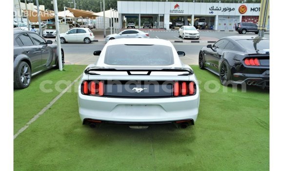 Buy Import Ford Mustang White Car in Import - Dubai in Ashanti Buy Import Ford Mustang White Car in Import - Dubai in Ashanti