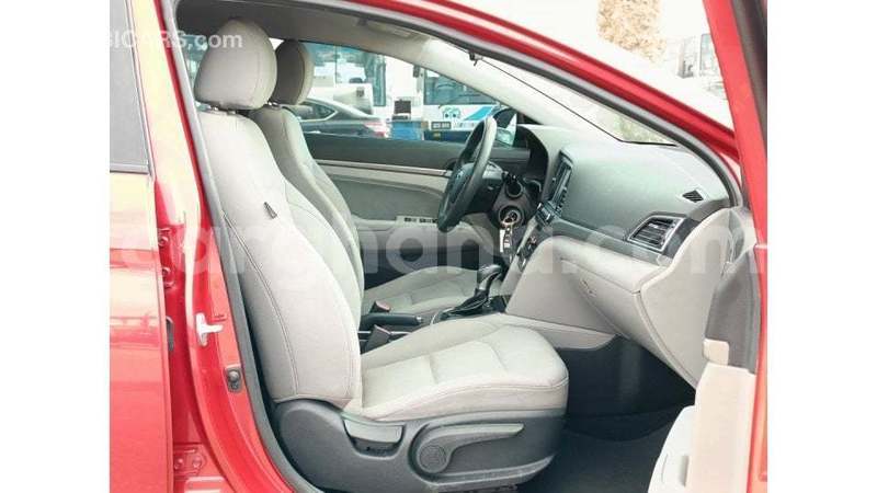 Big with watermark hyundai elantra ashanti import dubai 54560