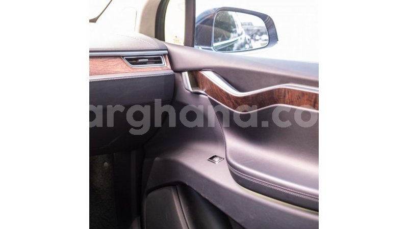 Big with watermark tesla model x ashanti import dubai 54573