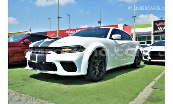 Sayi Imported Dodge Charger White Mota in Import - Dubai a Ashanti Sayi Imported Dodge Charger White Mota in Import - Dubai a Ashanti