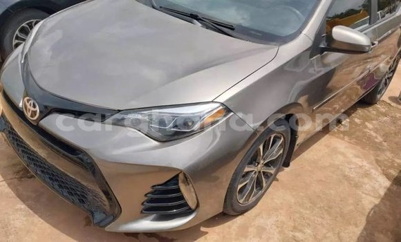 Buy Used Toyota Corolla Other Car in Accra in Greater Accra