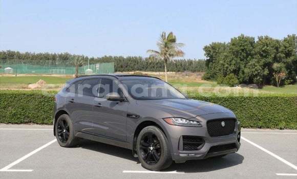 Buy Import Jaguar F-Pace Other Car in Import - Dubai in Ashanti