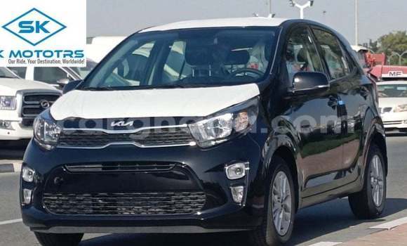 Buy Import Kia Picanto Black Car in Import - Dubai in Ashanti