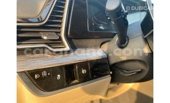 Buy Import Kia Sportage Green Car in Import - Dubai in Ashanti Buy Import Kia Sportage Green Car in Import - Dubai in Ashanti