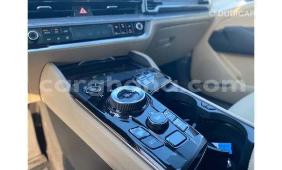 Buy Import Kia Sportage Green Car in Import - Dubai in Ashanti Buy Import Kia Sportage Green Car in Import - Dubai in Ashanti