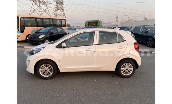 Buy Import Kia Picanto White Car in Import - Dubai in Ashanti Buy Import Kia Picanto White Car in Import - Dubai in Ashanti