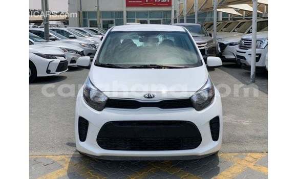 Sayi Imported Kia Picanto White Mota in Import - Dubai a Ashanti Sayi Imported Kia Picanto White Mota in Import - Dubai a Ashanti