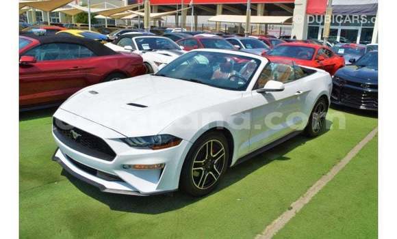 Ra Imported Ford Mustang funfun Ọkọ̀ in Import - Dubai ni Ashanti Ra Imported Ford Mustang funfun Ọkọ̀ in Import - Dubai ni Ashanti