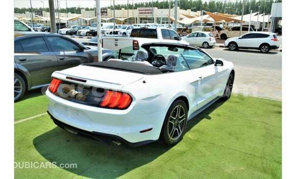 Ra Imported Ford Mustang funfun Ọkọ̀ in Import - Dubai ni Ashanti Ra Imported Ford Mustang funfun Ọkọ̀ in Import - Dubai ni Ashanti