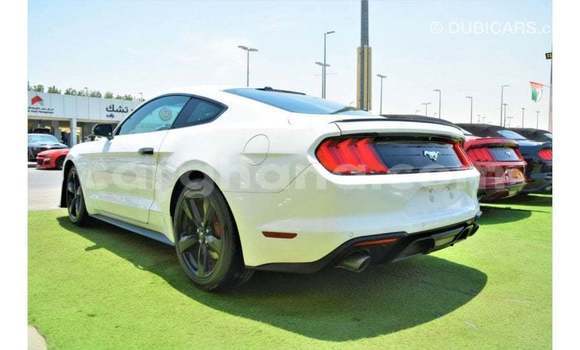 Ra Imported Ford Mustang funfun Ọkọ̀ in Import - Dubai ni Ashanti Ra Imported Ford Mustang funfun Ọkọ̀ in Import - Dubai ni Ashanti