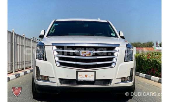 Buy Import Cadillac Escalade White Car in Import - Dubai in Ashanti Buy Import Cadillac Escalade White Car in Import - Dubai in Ashanti