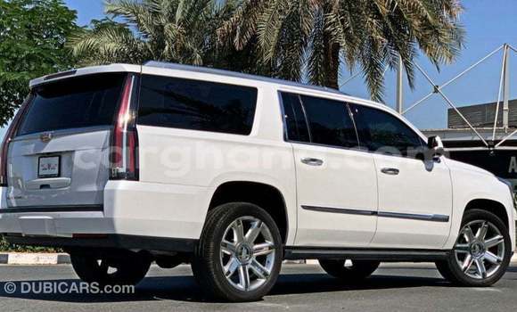Buy Import Cadillac Escalade White Car in Import - Dubai in Ashanti Buy Import Cadillac Escalade White Car in Import - Dubai in Ashanti