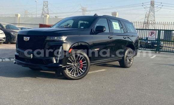 Buy Import Cadillac Escalade Black Car in Import - Dubai in Ashanti