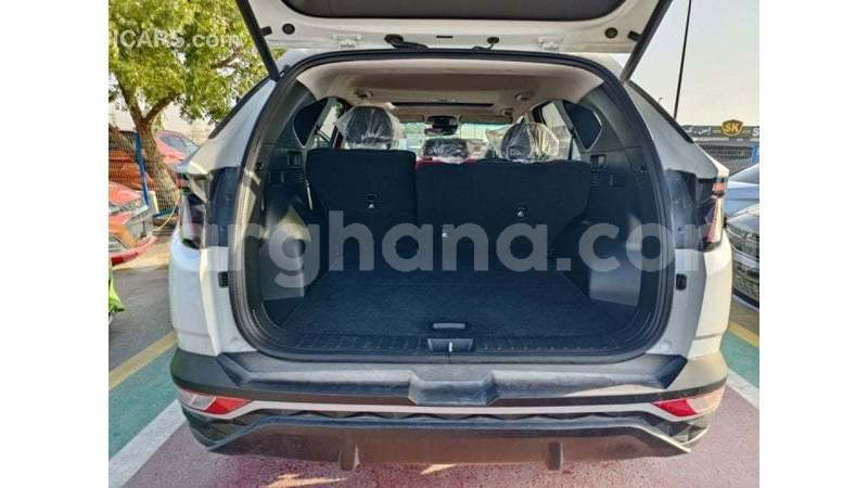 Big with watermark hyundai tucson ashanti import dubai 55605