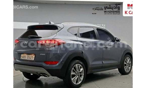 Buy Import Hyundai Tucson Other Car in Import - Dubai in Ashanti Buy Import Hyundai Tucson Other Car in Import - Dubai in Ashanti