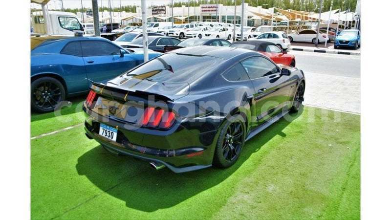 Big with watermark ford mustang ashanti import dubai 55630