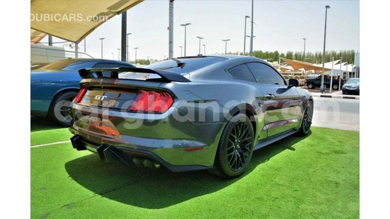 Big with watermark ford mustang ashanti import dubai 55754