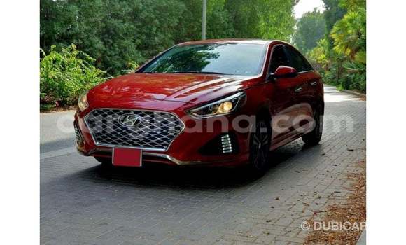 Buy Import Hyundai Sonata Red Car in Import - Dubai in Ashanti Buy Import Hyundai Sonata Red Car in Import - Dubai in Ashanti