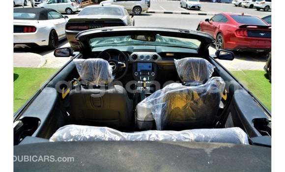 Ra Imported Ford Mustang Blue Ọkọ̀ in Import - Dubai ni Ashanti Ra Imported Ford Mustang Blue Ọkọ̀ in Import - Dubai ni Ashanti