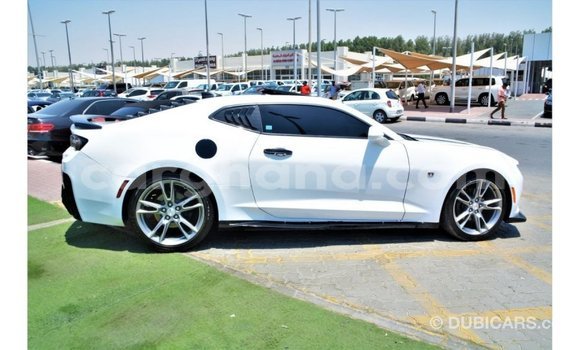 Sayi Imported Chevrolet Camaro White Mota in Import - Dubai a Ashanti Sayi Imported Chevrolet Camaro White Mota in Import - Dubai a Ashanti