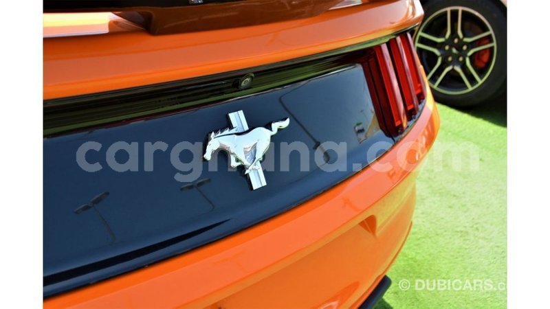 Big with watermark ford mustang ashanti import dubai 55894