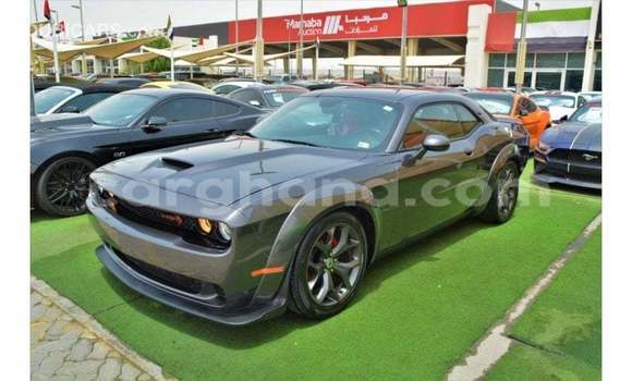 Buy Import Dodge Challenger Other Car in Import - Dubai in Ashanti Buy Import Dodge Challenger Other Car in Import - Dubai in Ashanti