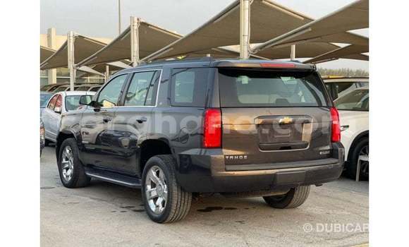 Buy Import Chevrolet Tahoe Brown Car in Import - Dubai in Ashanti Buy Import Chevrolet Tahoe Brown Car in Import - Dubai in Ashanti