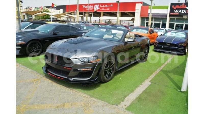 Big with watermark ford mustang ashanti import dubai 56009