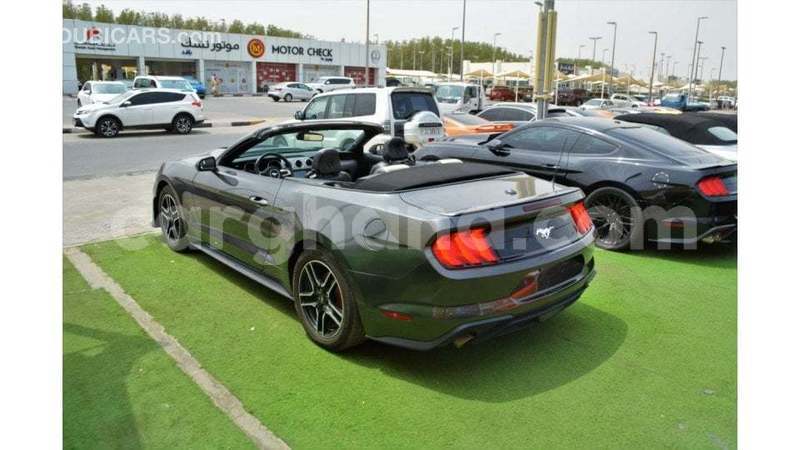 Big with watermark ford mustang ashanti import dubai 56009