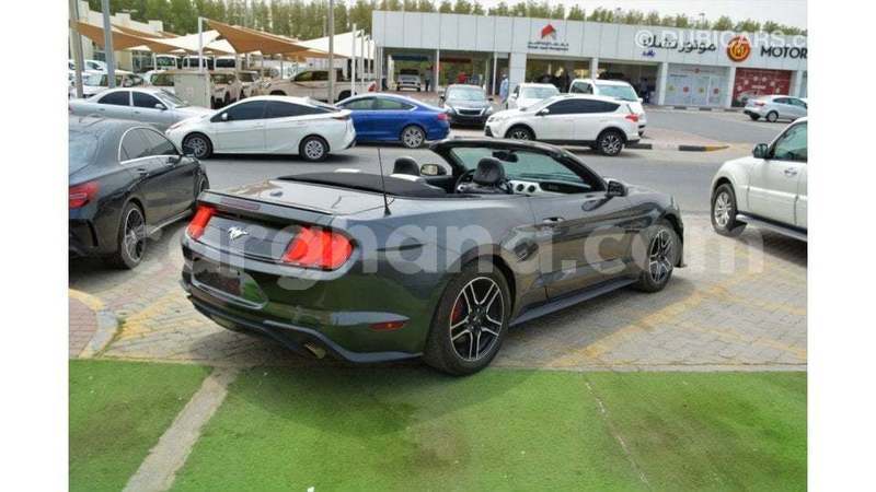 Big with watermark ford mustang ashanti import dubai 56009