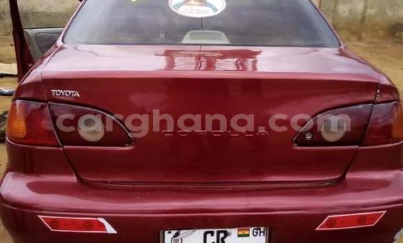 Buy Used Toyota Corolla Red Car in Techiman Municipal in Brong-Ahafo Buy Used Toyota Corolla Red Car in Techiman Municipal in Brong-Ahafo
