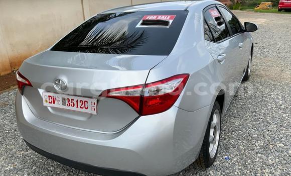 Buy Used Toyota Corolla Other Car in Accra in Greater Accra Buy Used Toyota Corolla Other Car in Accra in Greater Accra