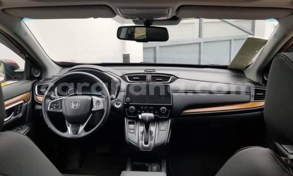 Buy Used Honda CR–V Red Car in Tema in Greater Accra Buy Used Honda CR–V Red Car in Tema in Greater Accra