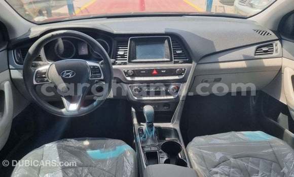 Buy Import Hyundai Sonata Red Car in Import - Dubai in Ashanti Buy Import Hyundai Sonata Red Car in Import - Dubai in Ashanti