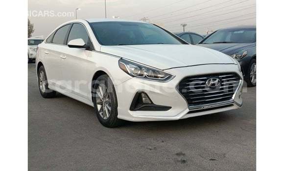 Buy Import Hyundai Sonata White Car in Import - Dubai in Ashanti Buy Import Hyundai Sonata White Car in Import - Dubai in Ashanti