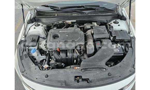Buy Import Kia Optima White Car in Import - Dubai in Ashanti Buy Import Kia Optima White Car in Import - Dubai in Ashanti