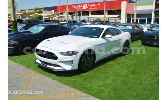 Buy Import Ford Mustang White Car in Import - Dubai in Ashanti Buy Import Ford Mustang White Car in Import - Dubai in Ashanti