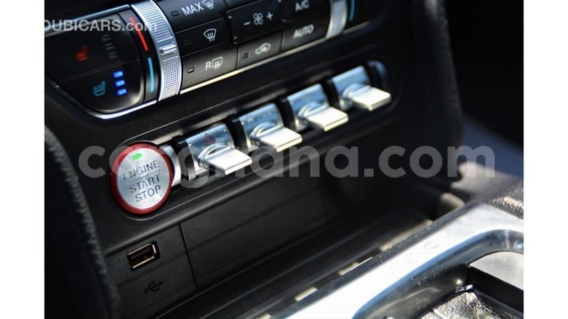 Big with watermark ford mustang ashanti import dubai 56404