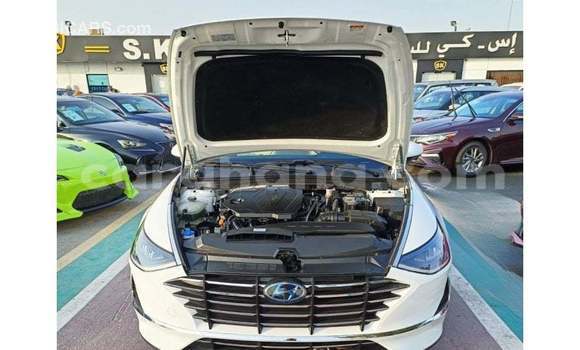 Buy Import Hyundai Sonata White Car in Import - Dubai in Ashanti Buy Import Hyundai Sonata White Car in Import - Dubai in Ashanti