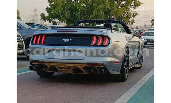 Buy Import Ford Mustang Other Car in Import - Dubai in Ashanti Buy Import Ford Mustang Other Car in Import - Dubai in Ashanti