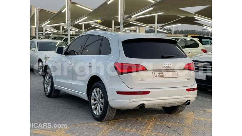 Big with watermark audi q5 ashanti import dubai 56527