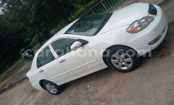 Buy Used Toyota Corolla White Car in Accra in Greater Accra Buy Used Toyota Corolla White Car in Accra in Greater Accra