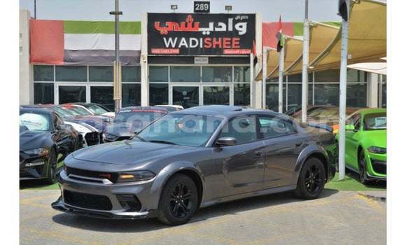 Buy Import Dodge Charger Other Car in Import - Dubai in Ashanti